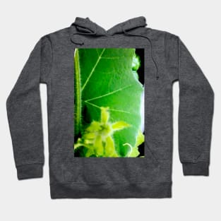 Pumpkin Foliage Hoodie